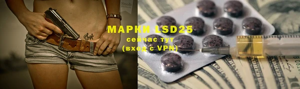PSILOCYBIN Бородино