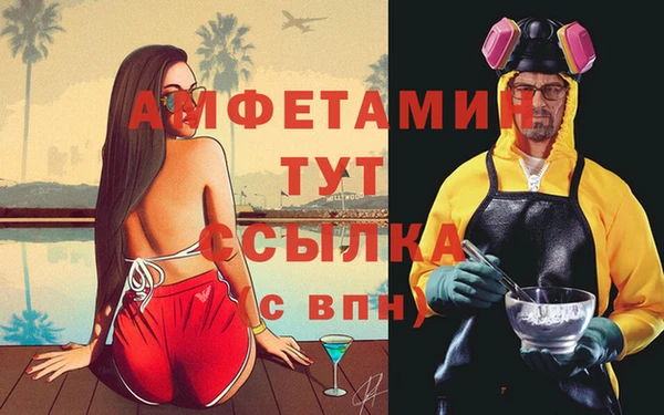 PSILOCYBIN Бородино