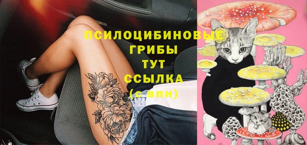 2c-b Бугульма