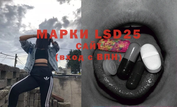 PSILOCYBIN Бородино
