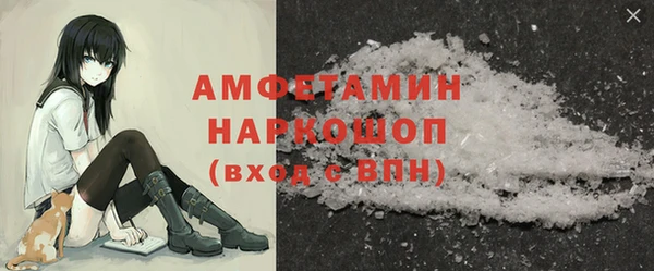PSILOCYBIN Бородино