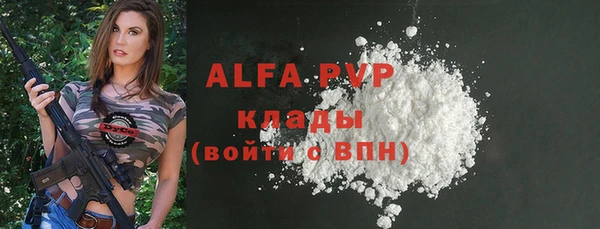 PSILOCYBIN Бородино