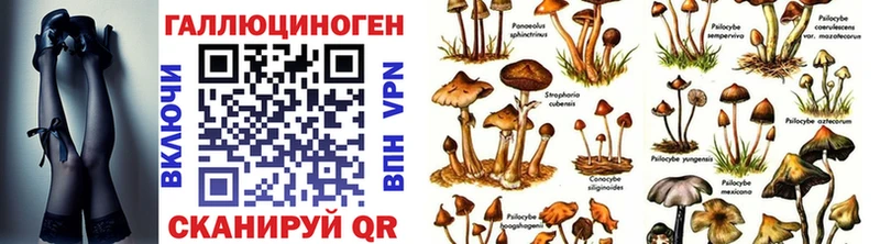 Галлюциногенные грибы мухоморы  Купить где  Малаховка 